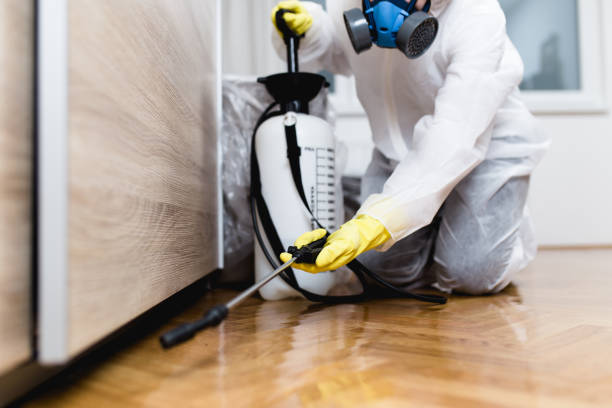 Best Emergency Pest Control  in The Hills, TX