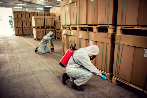 Best Affordable Pest Control Services  in The Hills, TX