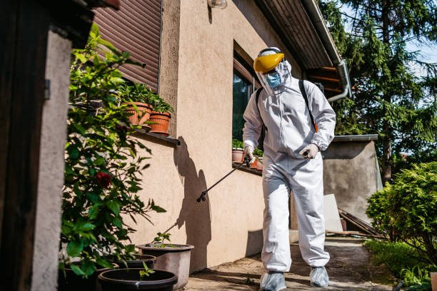 Professional Pest Control in The Hills, TX