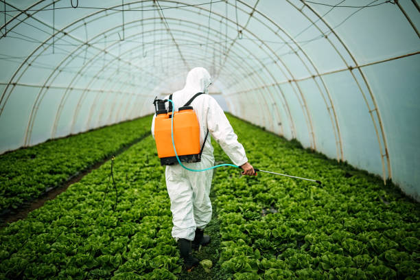 Best Local Pest Control Services  in The Hills, TX
