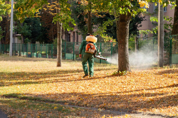 Best Flea Control Services  in The Hills, TX