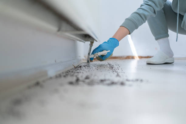Best Pest Prevention Services  in The Hills, TX